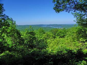 picture taken during a hike