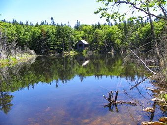 picture taken during a hike