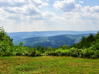 picture taken during a hike