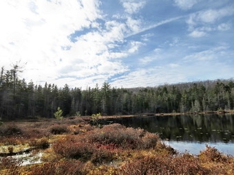 picture taken during a hike