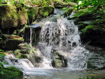 picture taken during a hike