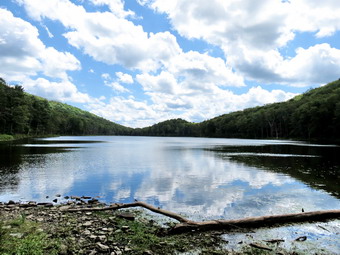 picture taken during a hike