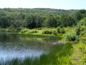 picture taken during a hike