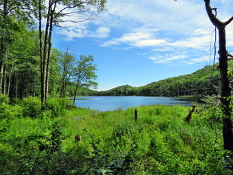 picture taken during a hike