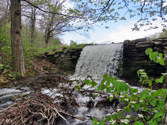 picture taken during a hike