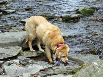 picture taken during a hike