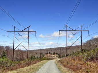 picture taken during a hike