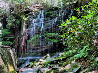 picture taken during a hike