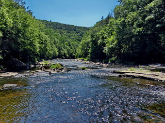 picture taken during a hike