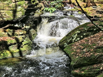 picture taken during a hike