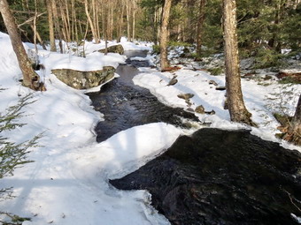 picture taken during a hike