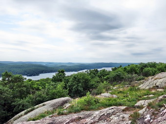 picture taken during a hike