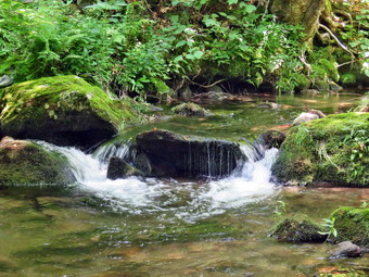 picture taken during a hike