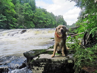 picture taken during a hike