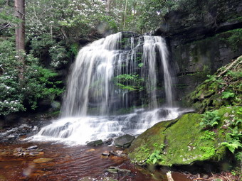 picture taken during a hike