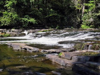 picture taken during a hike