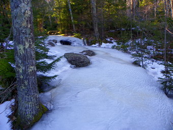 picture taken during a hike