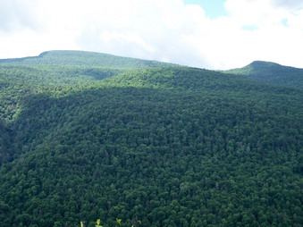 picture taken during a hike