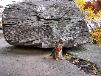 picture taken during a hike