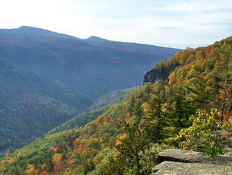 picture taken during a hike