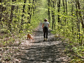 picture taken during a hike