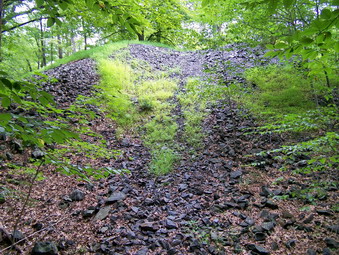 picture taken during a hike