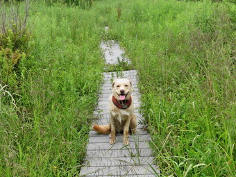 picture taken during a hike