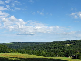 picture taken during a hike