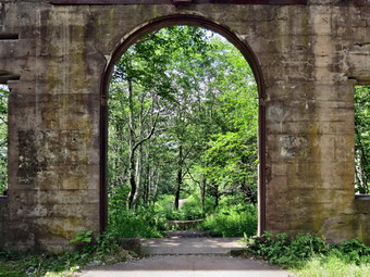 picture taken during a hike