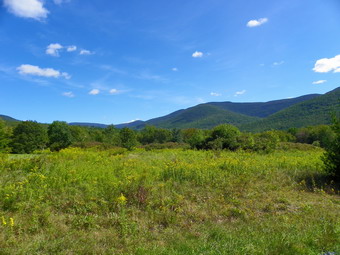 picture taken during a hike