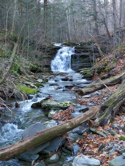 picture taken during a hike