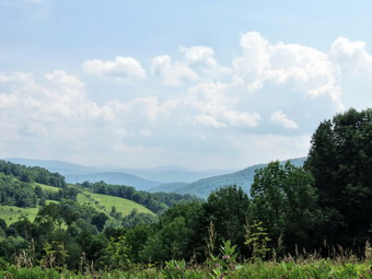 picture taken during a hike