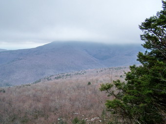 picture taken during a hike