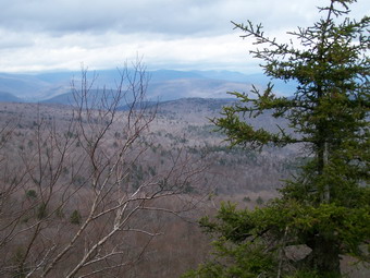 picture taken during a hike