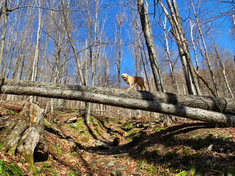 picture taken during a hike