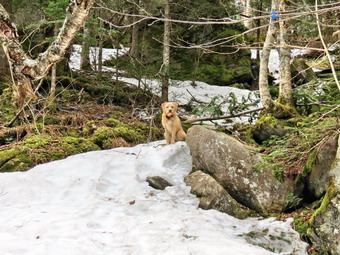 picture taken during a hike