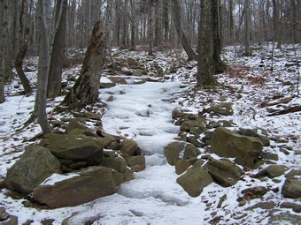 picture taken during a hike