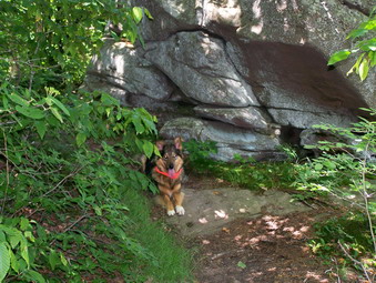 picture taken during a hike