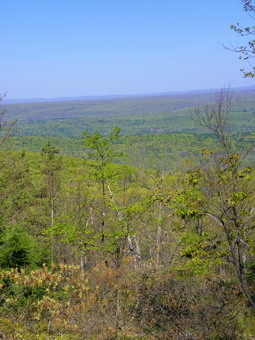 picture taken during a hike