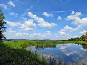 picture taken during a hike