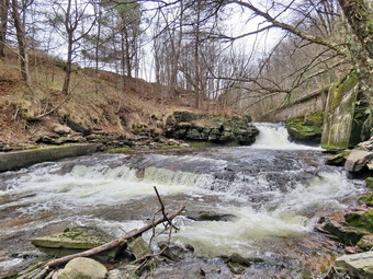 picture taken during a hike