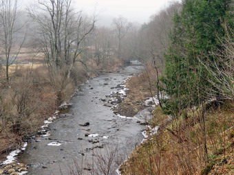 picture taken during a hike