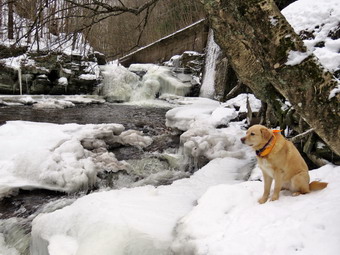 picture taken during a hike