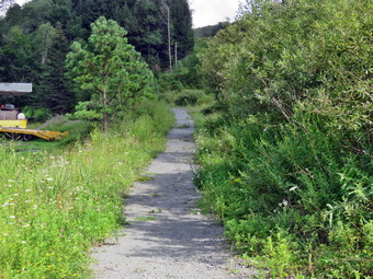 picture taken during a hike