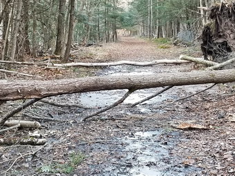 picture taken during a hike