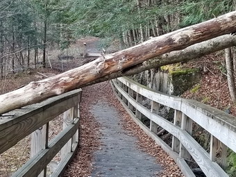 picture taken during a hike