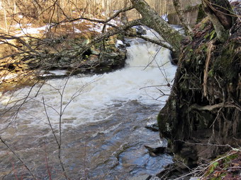 picture taken during a hike