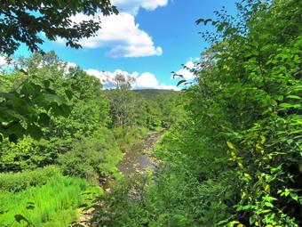 picture taken during a hike