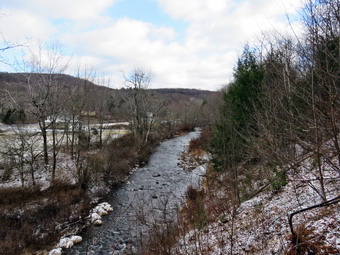 picture taken during a hike