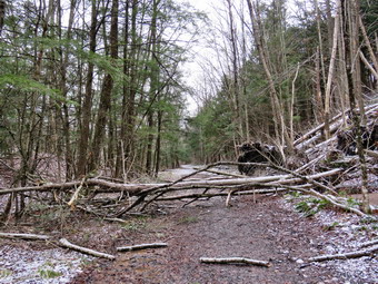 picture taken during a hike